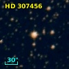 HD 307456