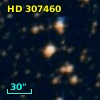 HD 307460