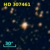 HD 307461