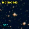HD 307463