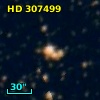 HD 307499
