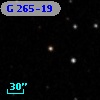 G 265-19
