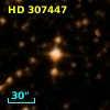 HD 307447