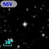 NSV  4442