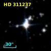 HD 311237