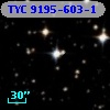 TYC 9195-603-1