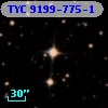 TYC 9199-775-1