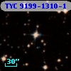 TYC 9199-1310-1