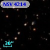 NSV  4214
