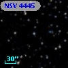 NSV  4445