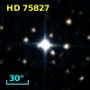 HD  75827