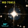 HD  75911
