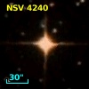 NSV  4240