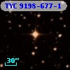 TYC 9198-677-1