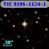 TYC 9198-1124-1