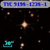 TYC 9198-1238-1