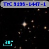 TYC 9198-1447-1