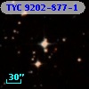 TYC 9202-877-1
