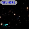 NSV  4071