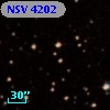 NSV  4202