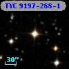 TYC 9197-288-1