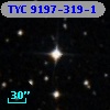 TYC 9197-319-1