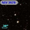 NSV  3879