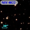 NSV  4022