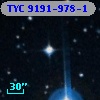 TYC 9191-978-1