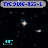 TYC 9186-855-1