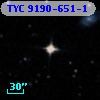 TYC 9190-651-1