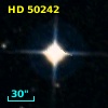 HD  50242