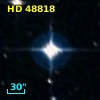 HD  48818