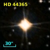 HD  44365