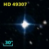 HD  49307