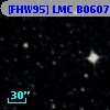 [FHW95] LMC B0607-7312