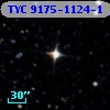 TYC 9175-1124-1