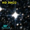 HD  36622