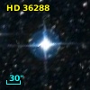 HD  36288