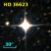 HD  36623