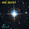 LTT 17817