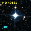 HD  40181