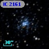 IC 2161