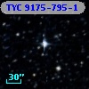 TYC 9175-795-1