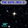 TYC 9175-955-1