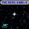 TYC 9175-1105-1