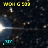 WOH G 509