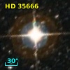 HD  35666