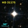 HD  31175