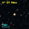 V* SY Men